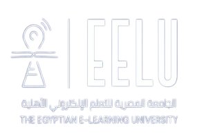 الجامعه المصريه